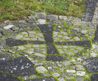 unser Emblem im Garten auf dem Boden unser Emblem im Garten auf dem Boden